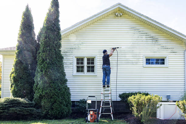 Best Fence Cleaning  in Mount Vernon, IN